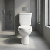 Vevor — papier hygiénique en céramique, toilette deux pièces, placard et toilette, prix bon marché, depuis l'usine directe indien