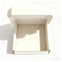 Petites boîtes en carton ondulé personnalisées pour vernis à ongles huile soins de la peau sérum cadeaux Premium impression couleur unie envoi postal personnalisé