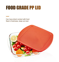 FDA LFGB Casseroles en verre borosilicaté de norme alimentaire Plaque de cuisson en verre Cuisine Congélateur Sûr OEM Plat de cuisson en verre
