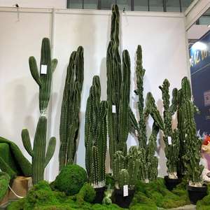 <span class=keywords><strong>Cactus</strong></span> artificiel pour la décoration intérieure, mini <span class=keywords><strong>cactus</strong></span> <span class=keywords><strong>pas</strong></span> <span class=keywords><strong>cher</strong></span>, plante artificielle d'intérieur, pot extérieur, arbres artificiels d'extérieur, <span class=keywords><strong>cactus</strong></span> - Product Image 4