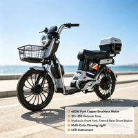Vélo électrique 48V directement de l'usine, moteur brushless 600W en cuivre pur, pneus sous vide 20*250, avec panier et boîte arrière, vélo de ville pour trajets quotidiens