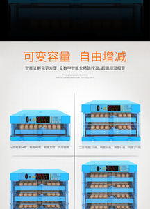 ขายร้อนสีฟ้า <span class=keywords><strong>64</strong></span> ไข่ฟักไข่ไก่ไข่ฟักไข่เครื่อง - Product Image 3