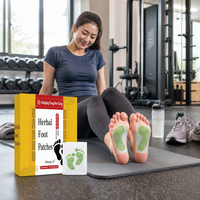 Patchs Apaisants et Relaxants aux Extraits Naturels d'Armoise pour les Pieds – Améliore le Sommeil – Soin Nocturne des Pieds – Vente en Gros