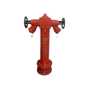 Sanxing 1.6Mp 4 Inch Fire Hydrant DN50/DN65 Chinese Manufacture for Outdoor/Underground Firefighting Equipment and Accessories