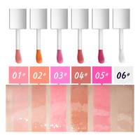 Brillant à lèvres repulpant longue durée de marque privée huile pour les lèvres végétalienne hydratante Base de maquillage liquide infusé aux minéraux