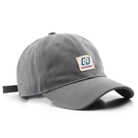Proveedor Chino de Gorras de Béisbol Snapback de Algodón de Alta Calidad, Unisex, Personalizadas, con Patrones de Puntos/Frutas, Gorras Deportivas al Por Mayor
