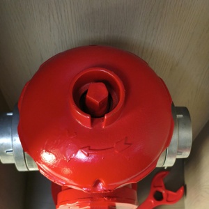 Hydrant anti-collision pour incendies au sol |   Robinet d'incendie flexible extérieur en fonte thermolaquée 2/3 voies DN65 DN80 1.6MPa - Product Image 2