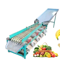 Machine de tri et de calibrage des fruits et légumes, pour usines de traitement des noix, modèle multifonctionnel 220/380V 750W
