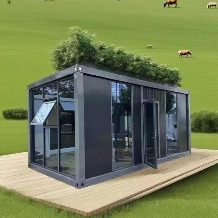 China Modern Luxury 20Ft Container House