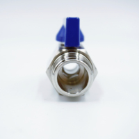 Mini robinet à boisseau sphérique en acier inoxydable avec arrêt fileté NPT BSPT double extrémité mâle arrêt manuel de l'eau OEM personnalisable
