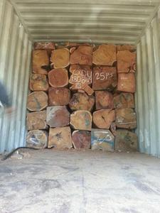 Vaneer White Oak <b>Logs</b> for Timber - Product Image 4