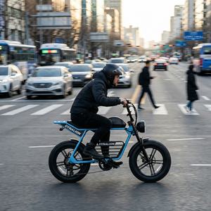 <span class=keywords><strong>Vélo</strong></span> <span class=keywords><strong>électrique</strong></span> rétro 48V avec frein à disque hydraulique, E-bike Scrambler pour la livraison urbaine et les trajets quotidiens - Product Image 3