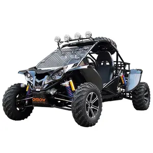 1500cc 4X4 Dune Buggy Te Koop