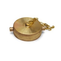 Adaptateur de tuyau d'arrosage en laiton pour hydrant en laiton de 3/4 pouces