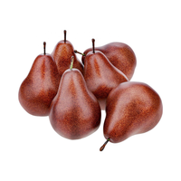 Pêres artificielles en plastique marron, jaune et vert, réalistes, pour la décoration de la maison, de la cuisine, de la table, des fêtes, Halloween et Pâques