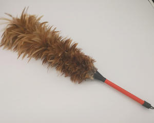 <span class=keywords><strong>Plumeau</strong></span> de dinde <span class=keywords><strong>multicolore</strong></span> - Product Image 6