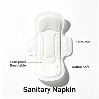 Échantillon Gratuit Culottes Menstruelles Jetables Super Absorbantes Anti-Fuites Respirantes Non Tissées pour Femmes Vente en Gros