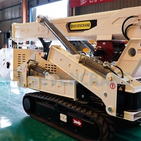 Grue araignée électrique personnalisable avec système double carburant, capacité de 1 à 8 tonnes, modèle SS3.0, moteur Yanmar, certifiée ISO CE