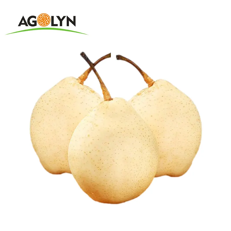 Chinese new crop sweet juicy Fresh golden Pear