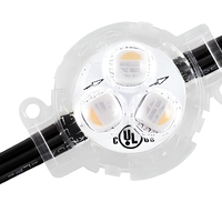 Lumière LED RGBW à points pixel 30 mm IP67 DC12V SMD5050 étanche pour façade extérieure, mur rideau et aménagement paysager