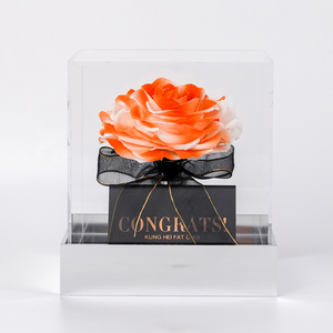 Grandi Rose Stabilizzate in Scatola Acrilica Quadrata Trasparente Solo <span class=keywords><strong>Amore</strong></span> <span class=keywords><strong>per</strong></span> <span class=keywords><strong>Lei</strong></span> <span class=keywords><strong>Regalo</strong></span> di Fiori Stabilizzati - Product Image 1