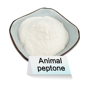 La peptona <span class=keywords><strong>animal</strong></span> de grado industrial es indispensable para la producción de dietas animales saludables y colágeno - Product Image 2