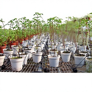 DaringFish Set di Irrigatori a Goccia a Quattro e Due Teste, Curvi e Diritti, in Plastica Tecnica per <span class=keywords><strong>Irrigazione</strong></span> a Goccia in Agricoltura, Giardino e Casa - Product Image 1