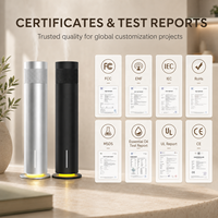 Diffuseur d'arômes électrique professionnel rechargeable, portable, écologique, sans eau, avec application intelligente pour une utilisation domestique, hôtelière et extérieure