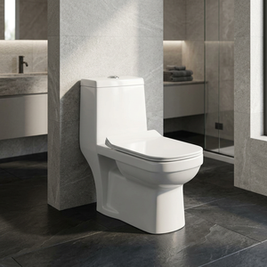 WC en céramique monobloc White Dragon, à chasse d'eau S-trap, pour l'Éthiopie, Sanitaire - Product Image 4