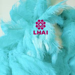 Écharpe en plumes d'autruche géante de 3,5 mètres, guirlande de plumes, <span class=keywords><strong>boa</strong></span> en plumes d'autruche pour spectacle de danse samba, scène, fête, spectacle - Product Image 4