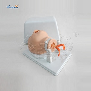 Modelo de Intubación de Recién Nacidos, Modelo de Enfermería Pediátrica, Modelo Médico de Enfermería Pediátrica - Product Image 2