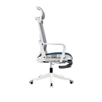 Chaise de bureau ergonomique à dossier haut en maille avec support lombaire, pivotante, avec appui-tête
