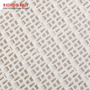 Banda Transportadora Modular de Plástico con Rejilla Plana Hongsbelt para el Procesamiento de Frutas y Verduras - Product Image 6