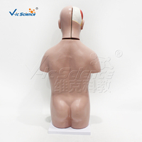 Modelo Anatómico de Torso Unisex de 50 cm con 12 Órganos Removibles, Espécimen de PVC para Clases de Biología de Secundaria y Preparatoria, CE/ISO/ROHS/CNAS