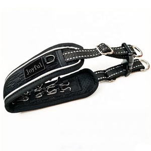 Verstelbare Roestvrijstalen Hond Afneembare Prong Stimulatie Training Knijpkraag Met Rubberen Tips - Product Image 1