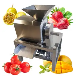 Single channel mango beater apple pulp grinder fruit pulp press fruit and vegetable juicer
