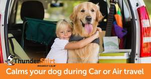 Échantillon gratuit de harnais pour chien vêtements réfléchissants pour chien de créateur manteau d'hiver en polaire rembourrée chaude pour animaux de compagnie vêtements imperméables pour vestes pour chiens - Product Image 2