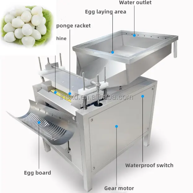 Коммерческая машина для очистки Перепелиных яиц, большая машина для очистки Перепелиных яиц