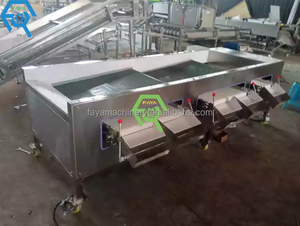 2 Tingkat Klasifikasi Blueberry dan Sabuk Konveyor Mesin Sortir dengan Lubang - Product Image 6