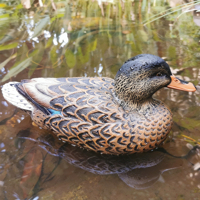 Paire de leurres de canard marron marbré ultra-réalistes en PE flottant, avec motif d'ailes naturel, pour la pêche en eau douce en extérieur