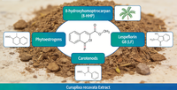 Aguaje-extract 10:1-50:1 - Enzymatisch-ultrasone extractie Moriche Palm-extract Hormonale balans & darmgezondheid