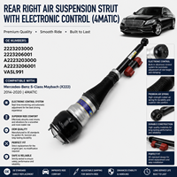 Amortiguador de Suspensión para Mercedes Benz, Pieza de Repuesto Original, OE 2223203000 2223206001 A2223203000 A2223206001
