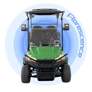 Nhà máy trực tiếp mới CE được phê duyệt 2 + 2 CHỖ NGỒI điện Golf giỏ hàng màu xanh lá cây với pin lithium OEM miễn phí - Product Image 1