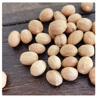 Single Spice Condiment Wholesale Whole Natural Planting Cheap Factory Pricedried Nutmeg