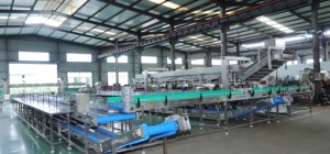 Ligne de lavage et de traitement des légumes industrielle Baiyu avec machine de nettoyage à bulles et de séchage pour usage en usine - Product Image 3