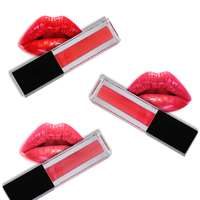Fabricant de gloss à lèvres OEM ODM Corée - Vente chaude - 49 couleurs - Gloss à lèvres à label privé - Mat - Imperméable - Longue tenue - Maquillage pour les lèvres