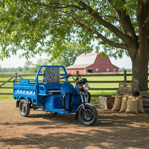 Tricycles 3Plus EEC 1000W pour adultes, étanches, vitesse 30-50 km/h, charge utile 600 kg, véhicule à trois roues, moteur haute puissance 1000W. - Product Image 4