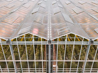 Serre de jardin en verre trempé et structure métallique facilement assemblable