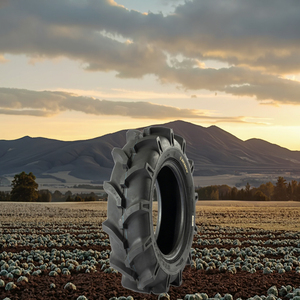 Nouveau pneu à tracé diagonal DUHOW pour mini-tracteur G-1A 8-18 Haute Qualité - Product Image 3