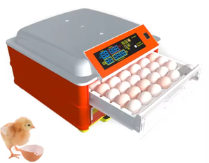 Incubateur spécialisé à température et humidité constantes, adapté aux œufs géants à couver, incubation professionnelle - Product Image 6